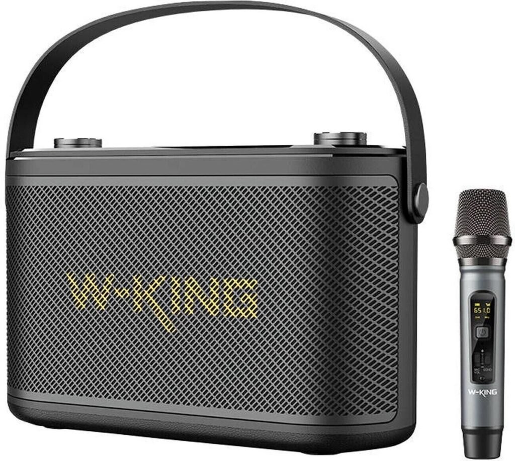 W-KING H10 S Draagbare luidspreker