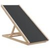 hondenloopplank 100x40