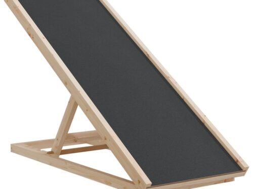 hondenloopplank 100x40