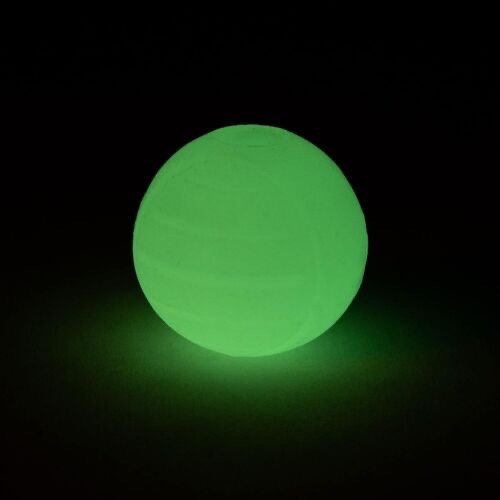 Basics Glow In The Dark Interactieve Rubberen Hondenballen & Speelgoed - 3 stuks