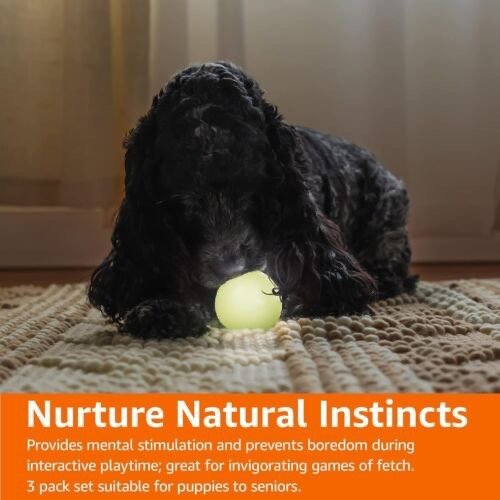 Basics Glow In The Dark Interactieve Rubberen Hondenballen & Speelgoed - 3 stuks