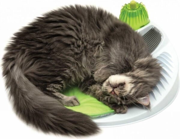 Catit Senses 2.0 Wellness Center - Kattenspeelgoed - 47 x 47 x 11,5 cm