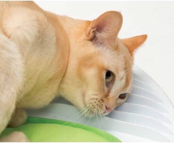 Catit Senses 2.0 Wellness Center - Kattenspeelgoed - 47 x 47 x 11,5 cm